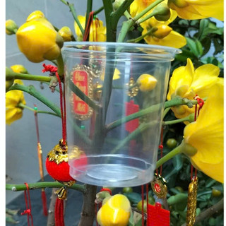 Ly nhựa trơn pp 200ml  ( 1cây 50 cái )