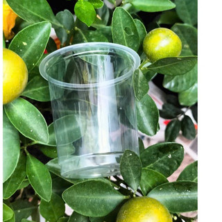 Ly nhựa trơn pp 200ml  ( 1cây 50 cái )