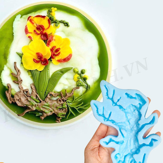 Khuôn gốc rễ thân cây mẫu 3