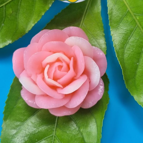 [KHUÔN 4D SALE] Khuôn Silicon Hoa Hồng Kiss 7,2 cm mã HK72