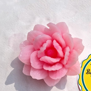 Khuôn silicon hoa mã P18