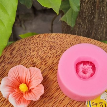 Khuôn silicon hoa làm bánh rau câu mã P24