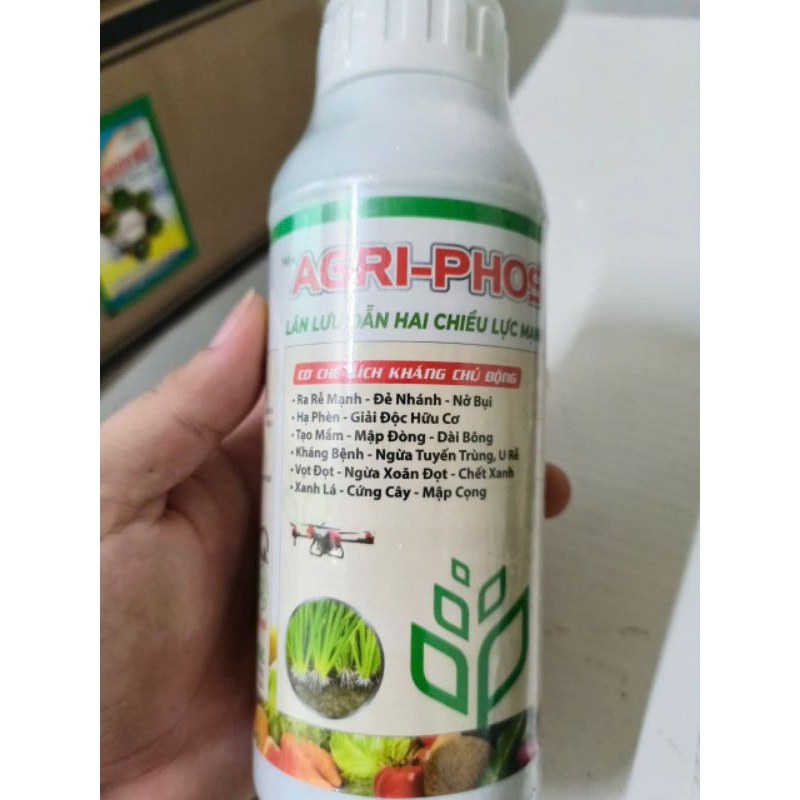 Phân bón lá AGRIPHOS 500ML (RA RỄ, NỞ BỤI, ĐẺ NHÁNH, HẠ PHÈN)