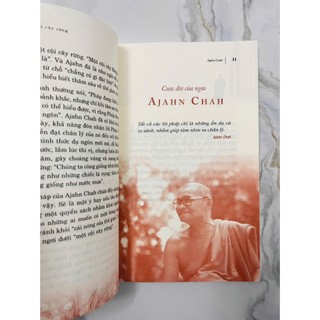 Sách - Một Cội Cây Rừng (Ajahn Chah - Văn Lang)