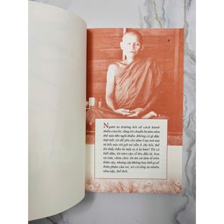 Sách - Một Cội Cây Rừng (Ajahn Chah - Văn Lang)