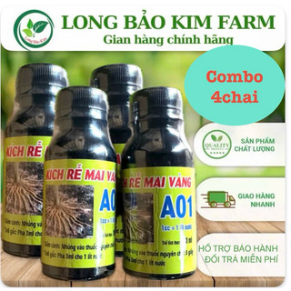 Kích rễ mai vàng A01 combo 4chai 100ml hàng công ty Hải An Khang