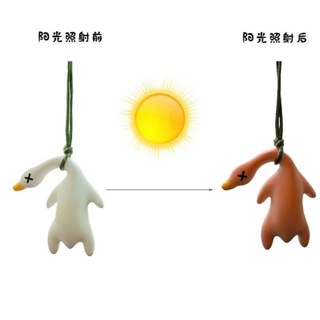 Vịt Đổi Màu Độc Đáo