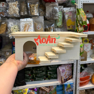  Thiết Kế Hằm Cho Hamster Bậc Thang Gỗ Decor cho Hamster | Thú Nhỏ  2 Sizes  
