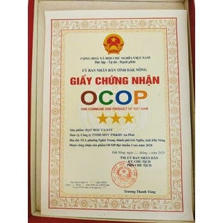 COMBO HẠT ĐIỀU + MACCA VIP_ ĂN NGON_THƠM BÙI