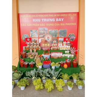 COMBO HẠT ĐIỀU + MACCA VIP_ ĂN NGON_THƠM BÙI