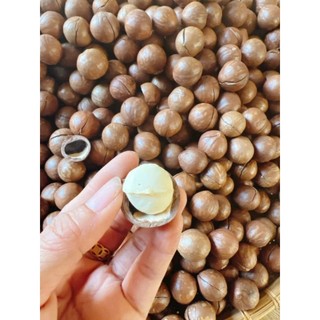 COMBO HẠT ĐIỀU + MACCA VIP_ ĂN NGON_THƠM BÙI