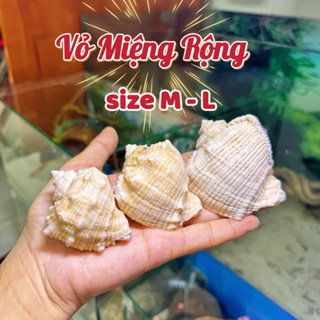 Vỏ Miệng Rộng size M - L miệng vỏ (2.5cm - 4cm )dùng để thay vỏ