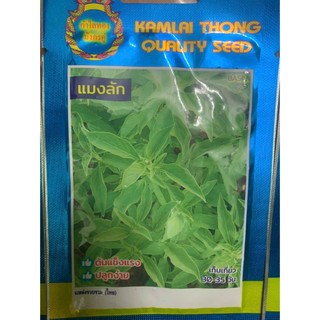 hạt giống lá é trắng nhập khẩu thái lan
