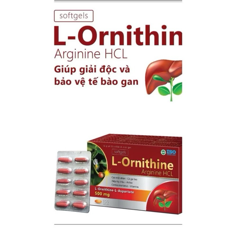 Giải độc gan L- Ornithin hộp 60viên