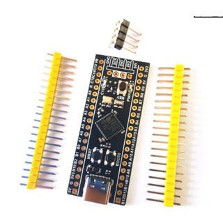 Kit Phát Triển STM32F411CEU6 BLACK PILL ARM CORTEX-M4