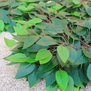 cành lá si xanh - cành lá si làm cây giả trang trí nhà cửa nội thất trang trí sự kiện siêu đẹp