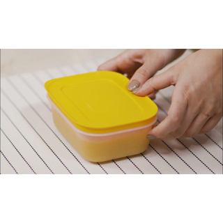 Hộp trữ đông Freezermate Gen II Tupperware nhiều dung tích (Hộp lẻ)