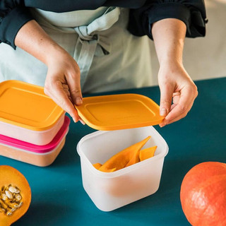 Hộp trữ đông Freezermate Gen II Tupperware nhiều dung tích (Hộp lẻ)