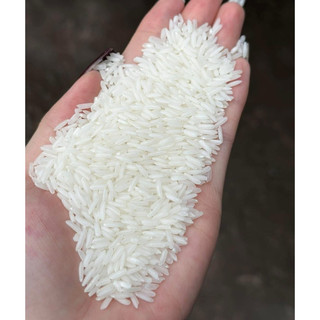Gạo Thơm Lài Gạo Ngon , Mềm , Nở Dẻo Vừa Gạo Thơm Chất Lượng 5kg - 10kg
