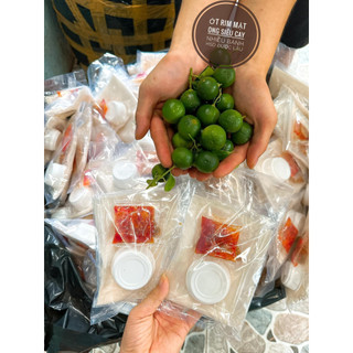 bánh tráng phơi sương