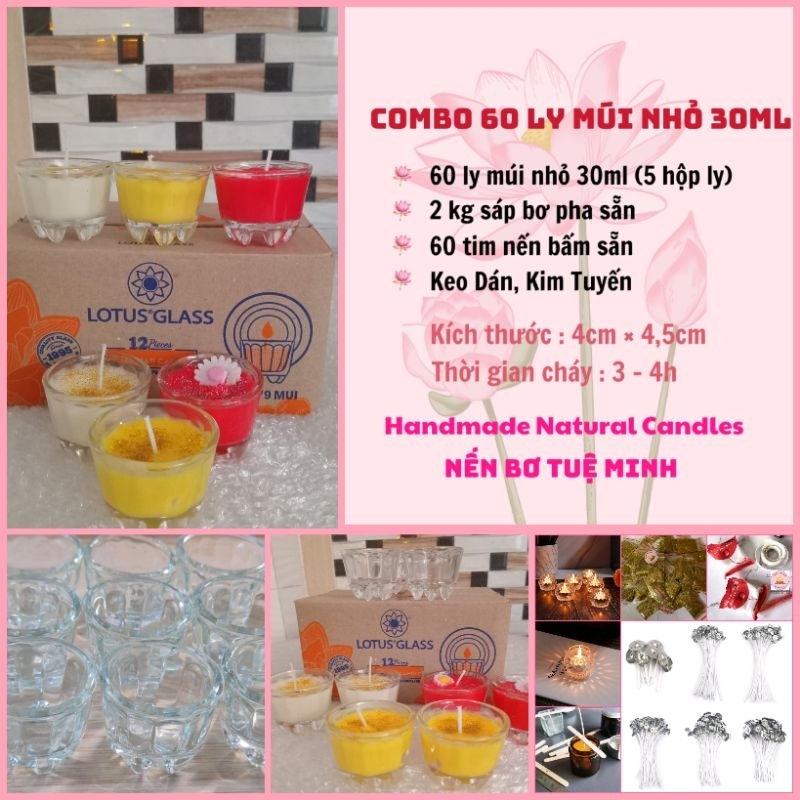 Combo Làm Nến 60 Ly Múi Nhỏ 30ML.( Nến Bơ Tuệ Minh)