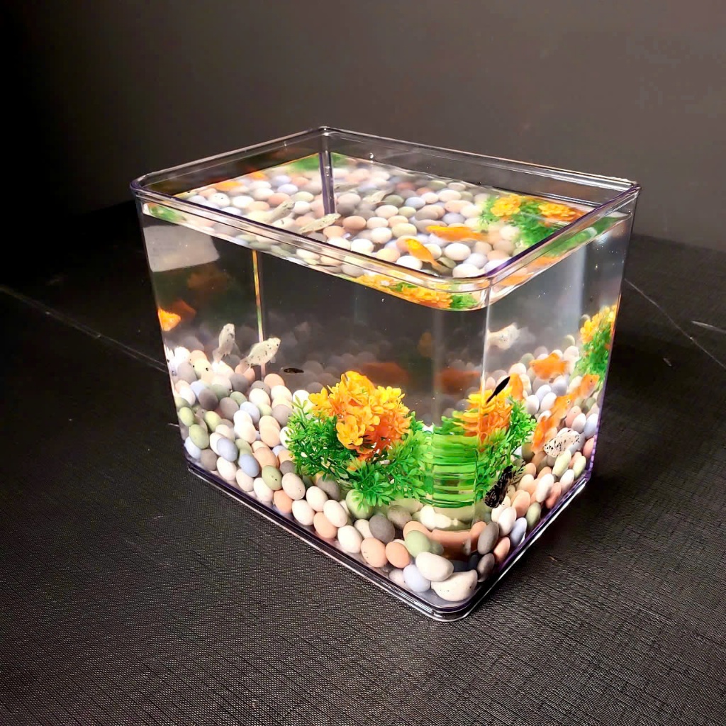 BỂ CÁ BETTA NHỰA ĐÚC 18X13X15   CM ĐỂ BÀN LÀM VIỆC, BÀN HỌC, SIÊU ĐẸP
