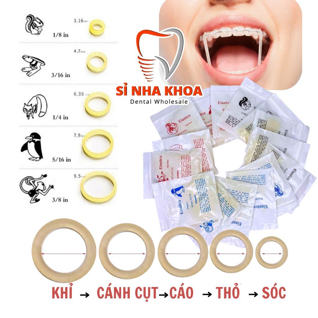 Thun Liên Hàm 3.5Oz-5.0Oz-6.5Oz, Chun Liên Hàm, Chun Chỉnh Nha, Chỉnh Khớp Cắn,Thun Kéo Niềng Răng