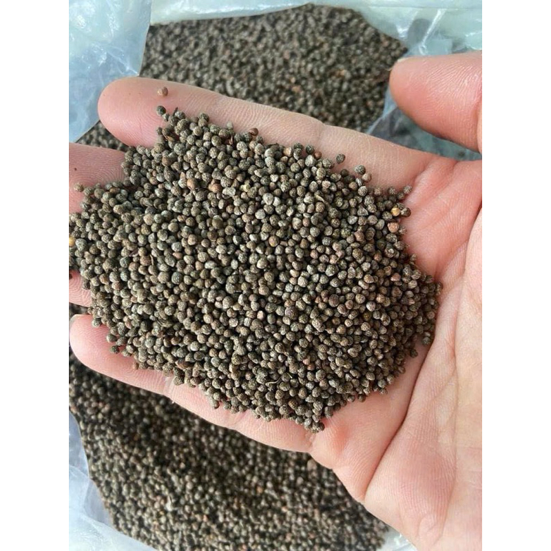 Vừng ( mè) đen hạt tròn, vừng nương Điện Biên, vừng ngà hooc nhiều dầu thơm ngậy