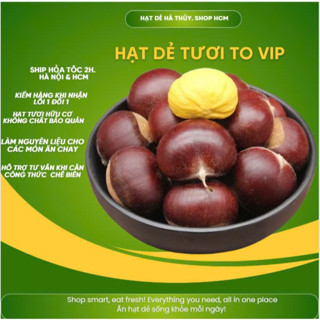 [Hạt dẻ tươi to ngon 65k/kg Tại HCM] 1kg Hạt dẻ tươi LOẠI TO NGON cơm vàng bở