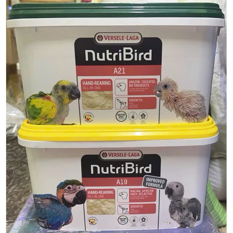 200Gam Bột A21/A19 Cho Vẹt Non