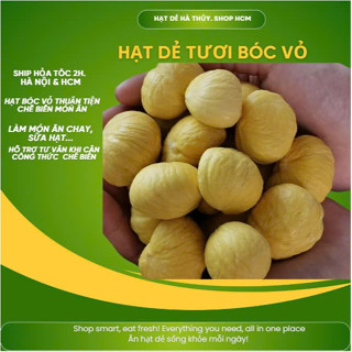 [Hạt Dẻ tươi bóc vỏ-HCM] HẠT DẺ TƯƠI BÓC Vỏ NẤU, LÀM SỮA HẠT, CHIÊN MẬT ONG SIÊU NGON túi 500g/1kg