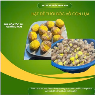 [Dẻ tươi bóc vỏ nấu canh hầm xương làm sữa...] Hạt Dẻ Bóc Vỏ Còn Vỏ Lụa Túi 500g Có Hút Chân Không