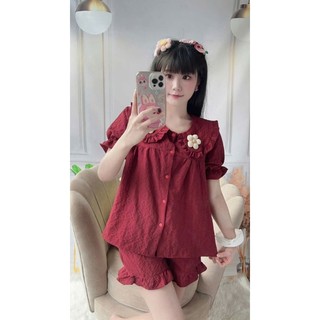 (MÃ 24) Sét bộ đùi Pyjama Đùi Xốp Đính Hoa Siêu Hot