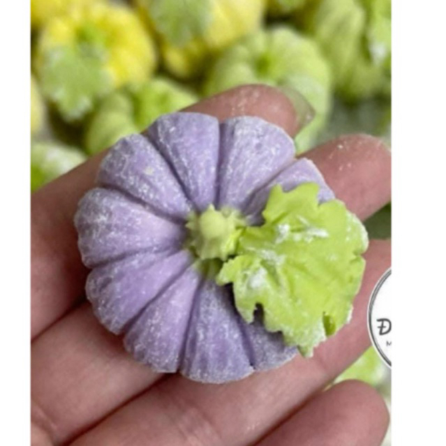 sét 2 khuôn bí 2 mảnh và vỉ lá bí khuôn silicon quả bí trái bí