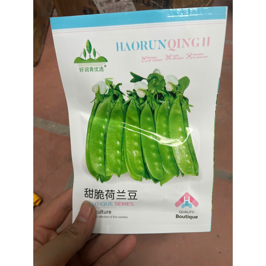 Hạt giống Đậu Ván Xanh trái dẹp hoa trắng_Đỗ ván quả dẹt ăn non nhập nội địa Trung