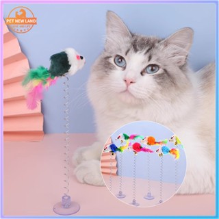 Đồ chơi chuột lò xo cao cấp cho mèo, Đồ chơi thú cưng màu sắc ngẫu nhiên