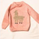 Cuộn Len DMC 100% Baby Pure Merino (bảng màu 2)