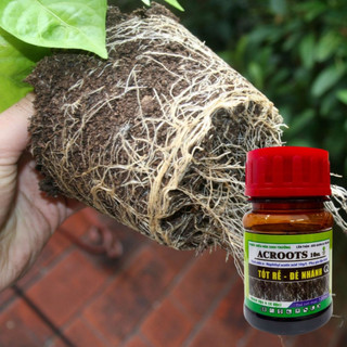 Phân bón kích rễ và kích mầm ACROOT 100 ml