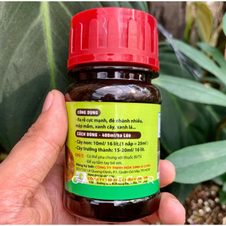 Phân bón kích rễ và kích mầm ACROOT 100 ml