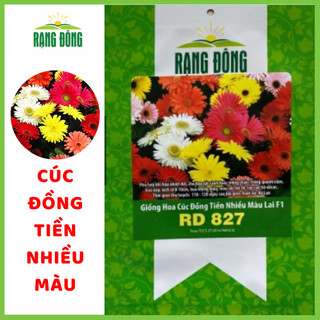 [RẠNG ĐÔNG]Hạt giống hoa cúc đồng tiền nhiều màu dễ trồng, dễ nảy mầm, hạt giống Rạng Đông