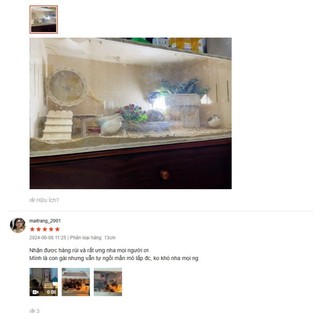 P39 Wheel gỗ cho hamster