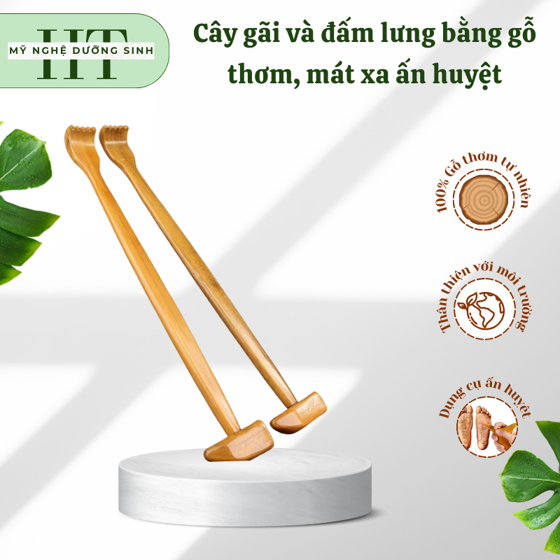 Cây gãi và đấm lưng bằng gỗ thơm, mát xa ấn huyệt giúp cơ thể thư giãn, thoải mái - Mỹ nghệ dưỡng sinh HT