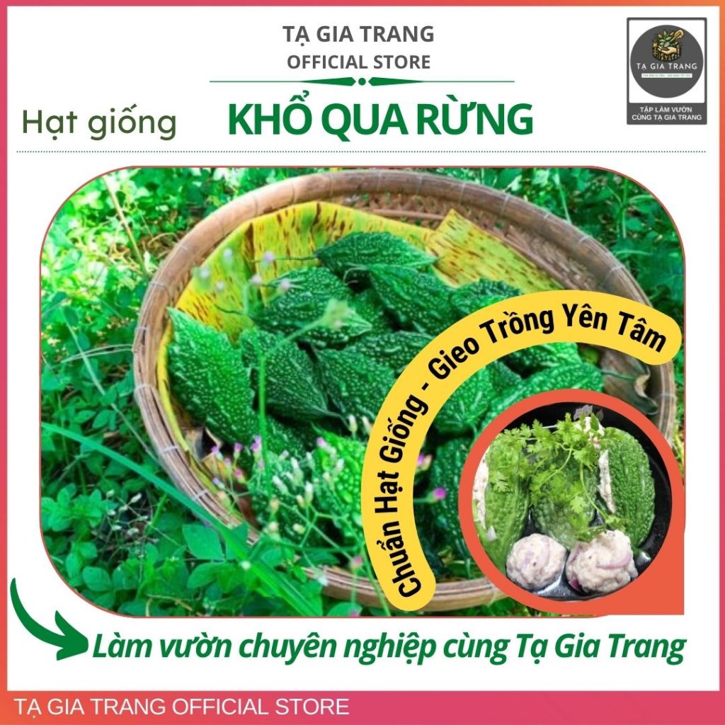 Hạt giống mướp đắng (khổ qua) rừng