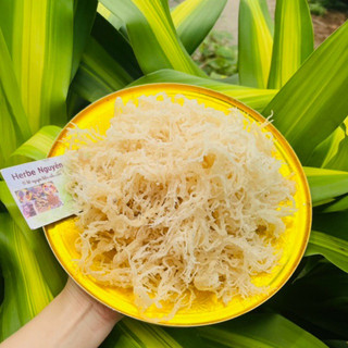 500g ,Rong biển,  rong sụn