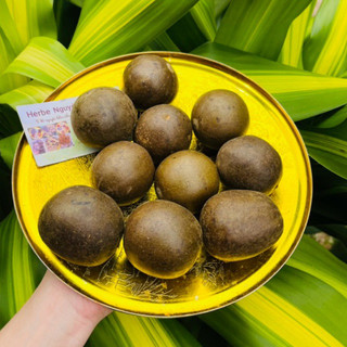 La hán quả (trái to loại 1)