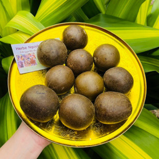 La hán quả (trái to loại 1)
