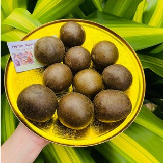 La hán quả (trái to loại 1)