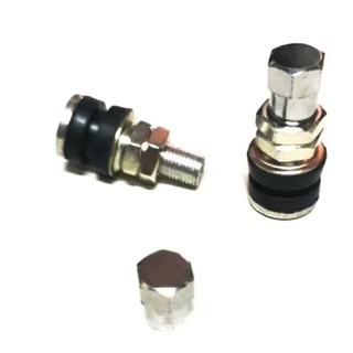 Vòi xe vỏ không ruột ngắn xi- 3.5cm - 2 cái