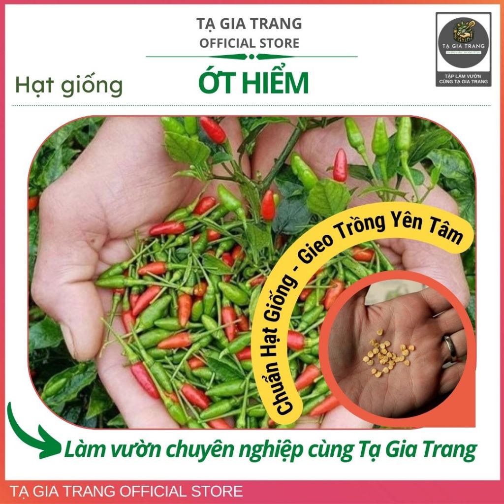 .Hạt giống ớt hiểm siêu cay - Shop hạt giống Tạ Gia Trang