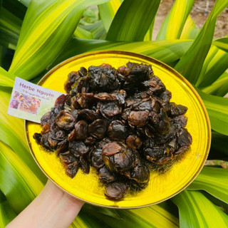 200g Nhãn vãi nấu sâm thơm nước đậm màu